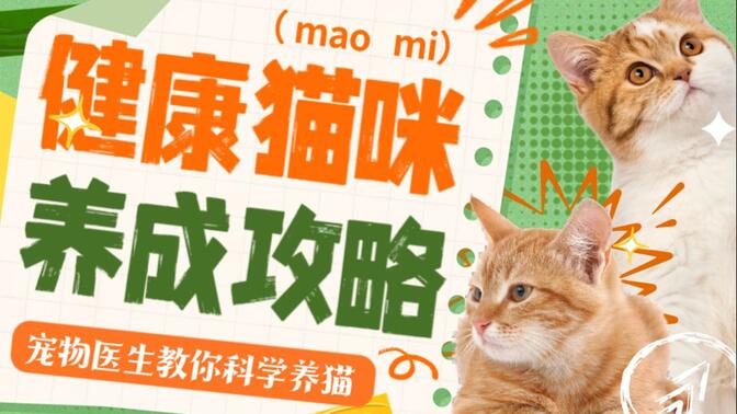 健康猫咪养成攻略：宠物医生教你科学养猫