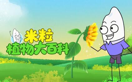 课程封面
