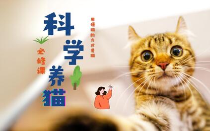 课程封面