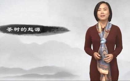 课程封面