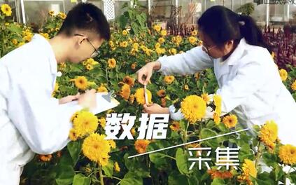 课程封面