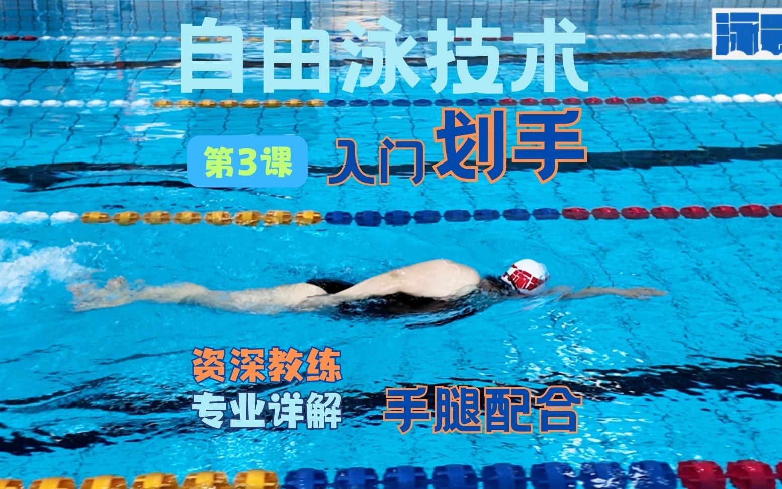 自由泳·从入门基础到顺畅配合_哔哩哔哩_bilibili