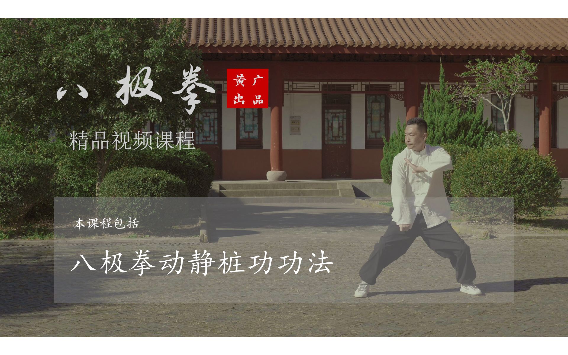 黄广出品八极拳动静桩功功法(培元固本,内外兼修)_哔哩哔哩_bilibili