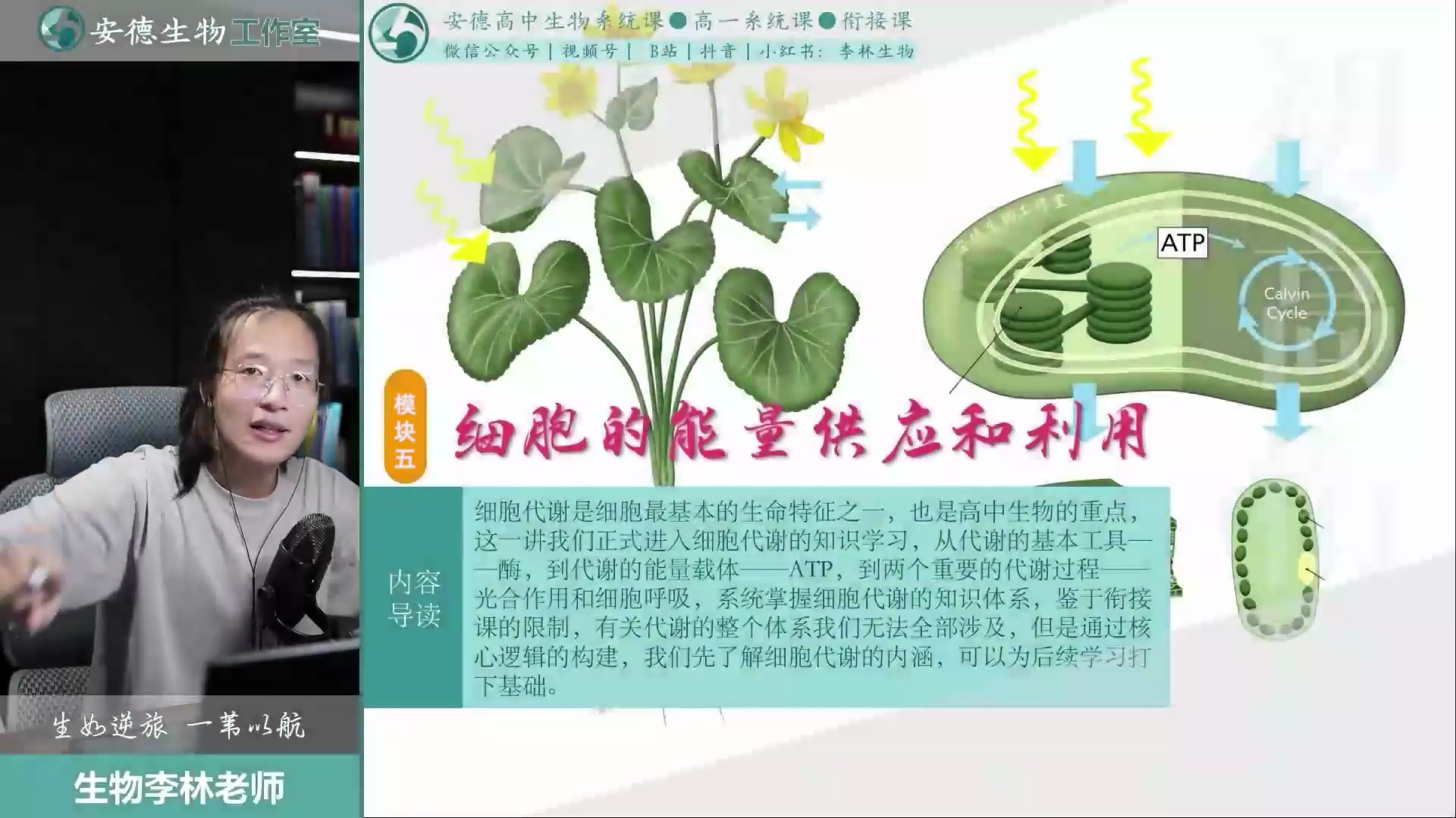 李林生物《新高一预备课》_哔哩哔哩_bilibili