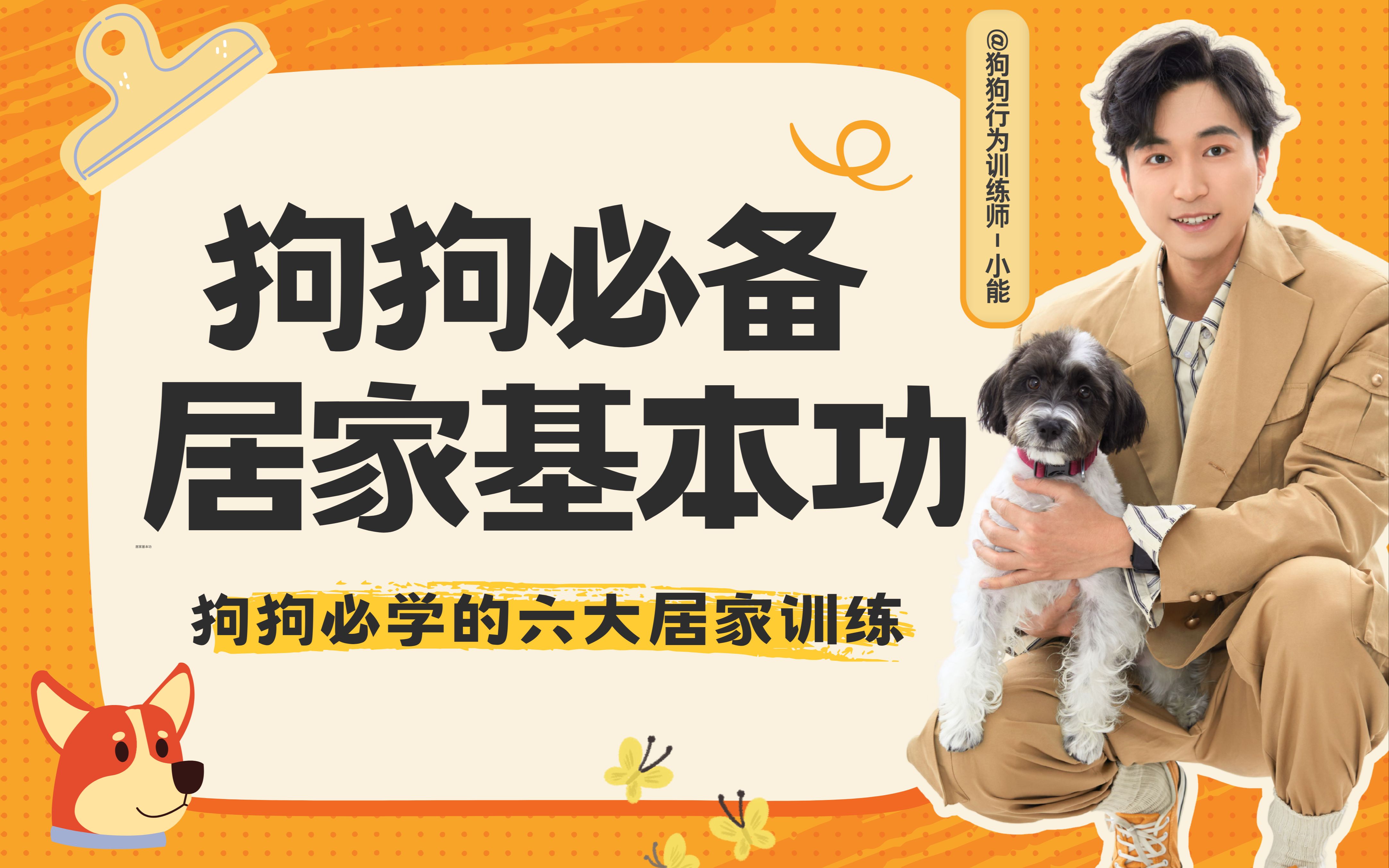 养狗必看!狗狗居家基本功训练_哔哩哔哩_bilibili