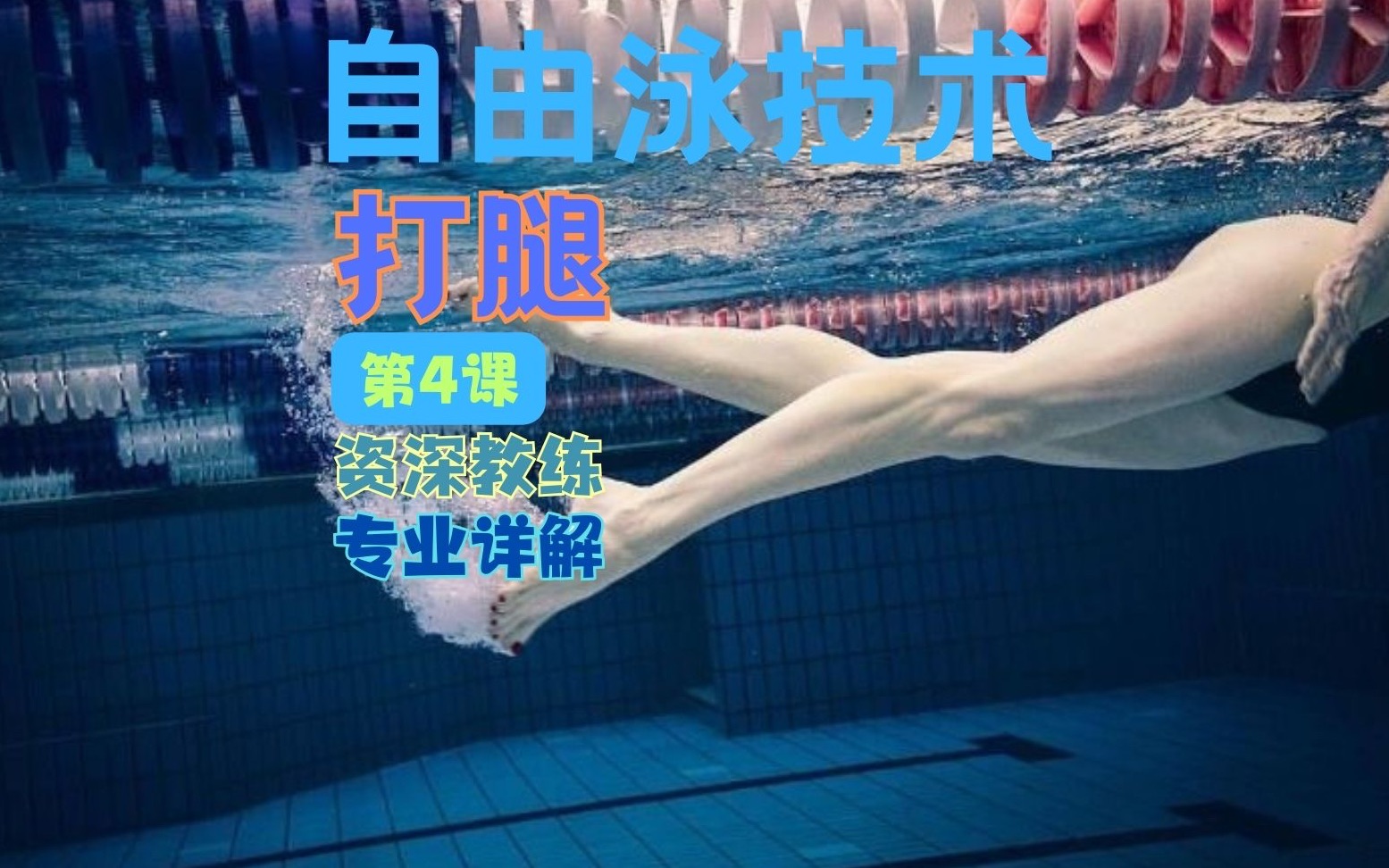 自由泳·从入门基础到顺畅配合_哔哩哔哩_bilibili