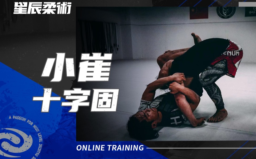【巴西柔术教学】小崔十字固_哔哩哔哩_bilibili