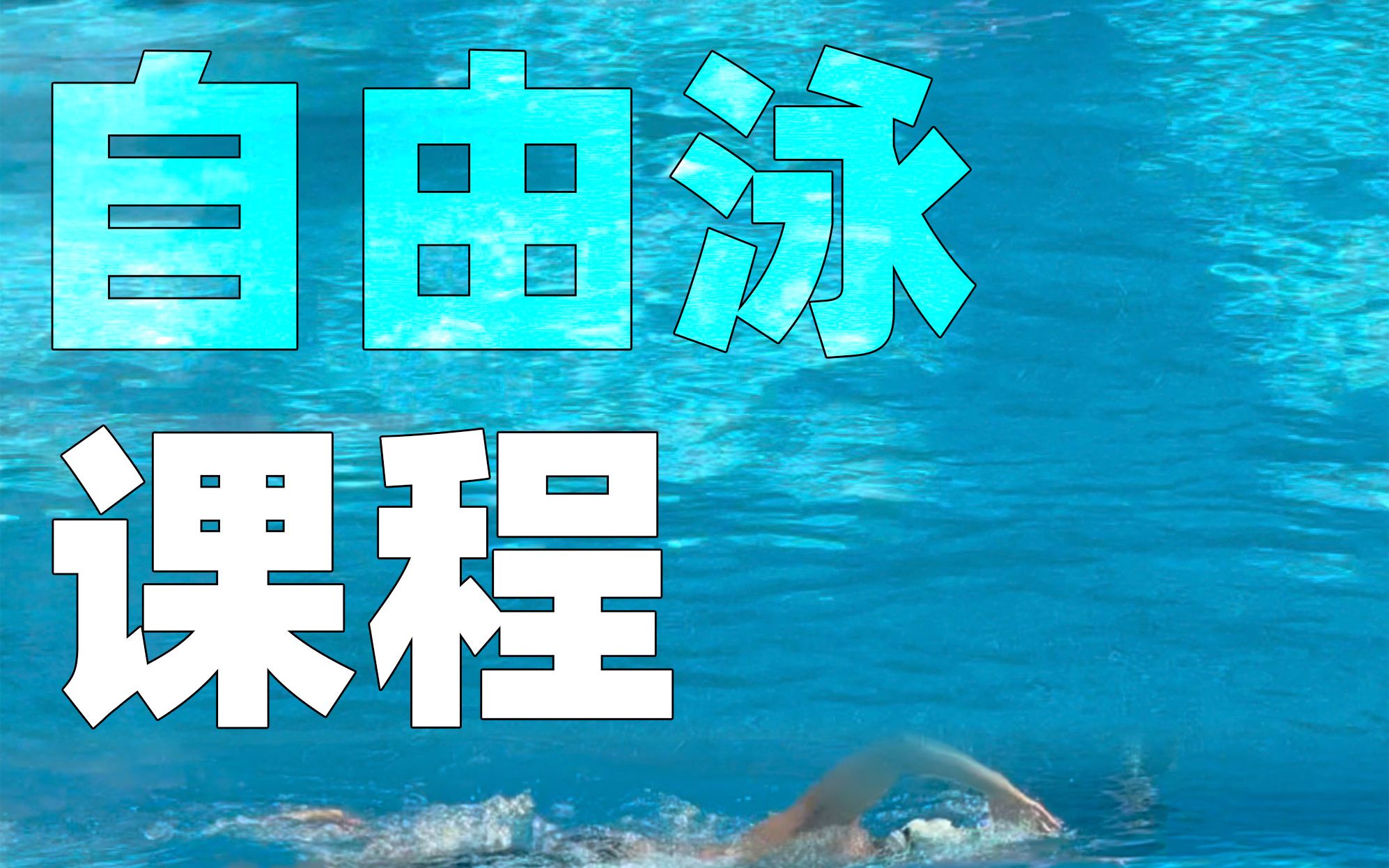 自由潜水训练视频解析：含1年游泳指导-自由泳课程【重量版】