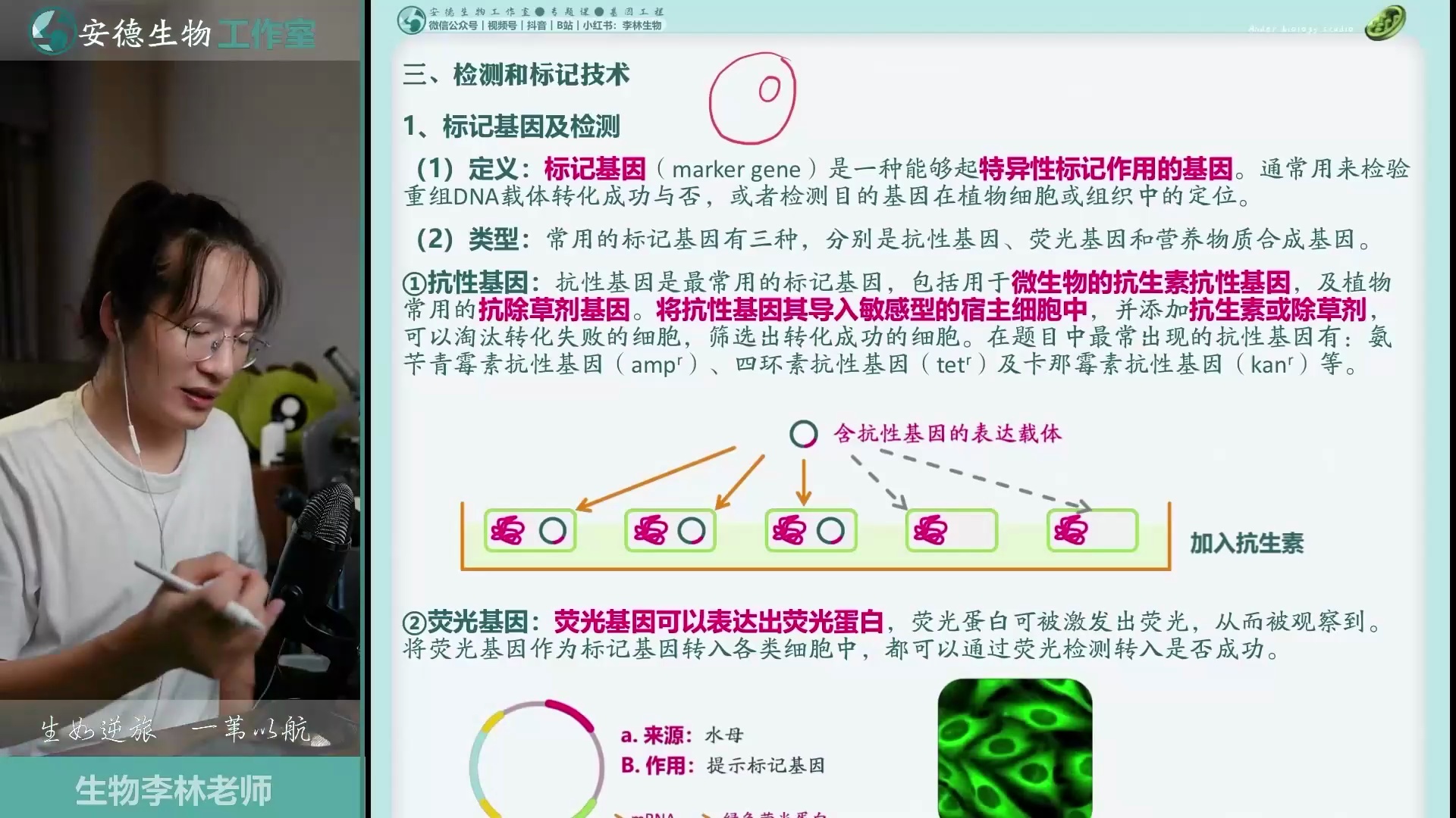 李林生物《基因工程专题课》_哔哩哔哩_bilibili