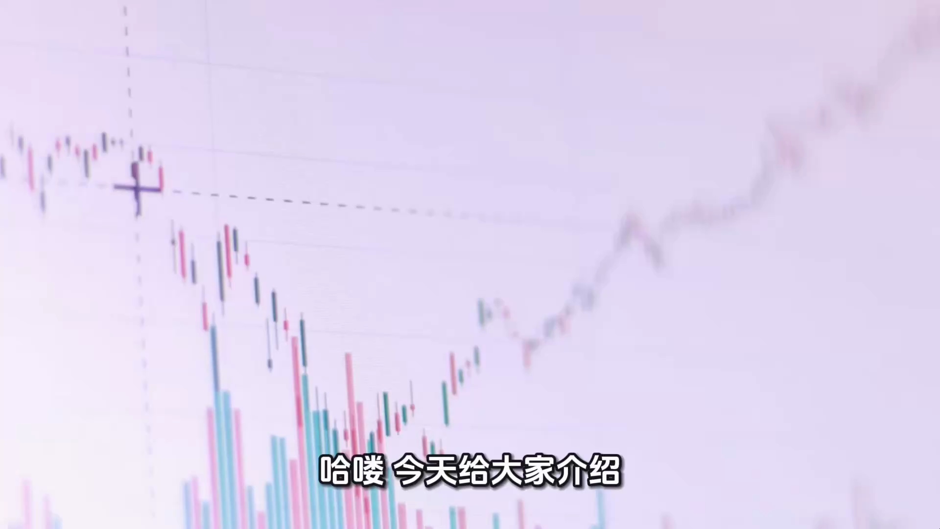 上市公司5400支股票22年至25年上半年财报_哔哩哔哩_bilibili
