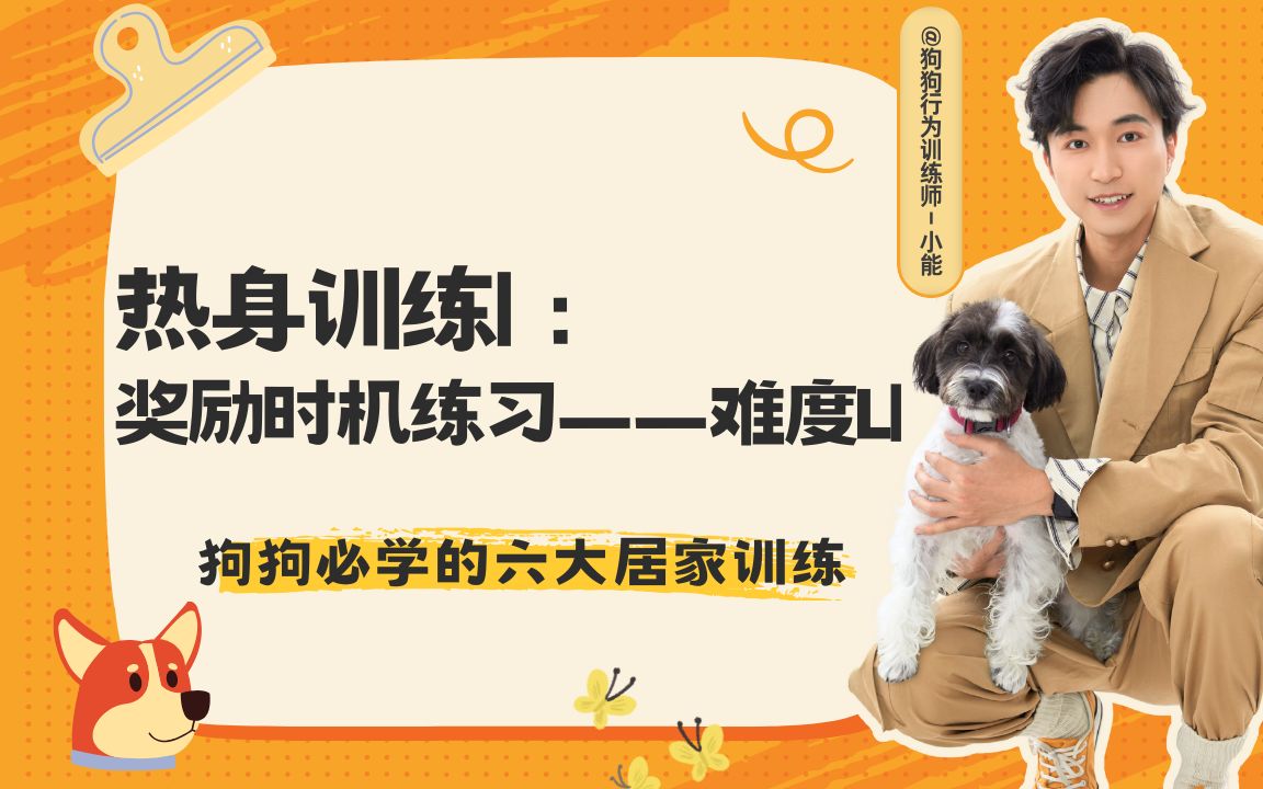 养狗必看!狗狗居家基本功训练_哔哩哔哩_bilibili