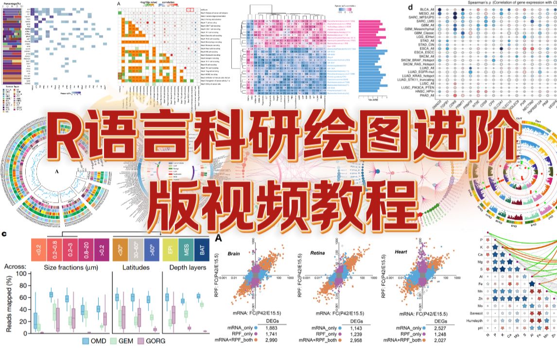 R语言科研绘图进阶版视频课程_哔哩哔哩_bilibili