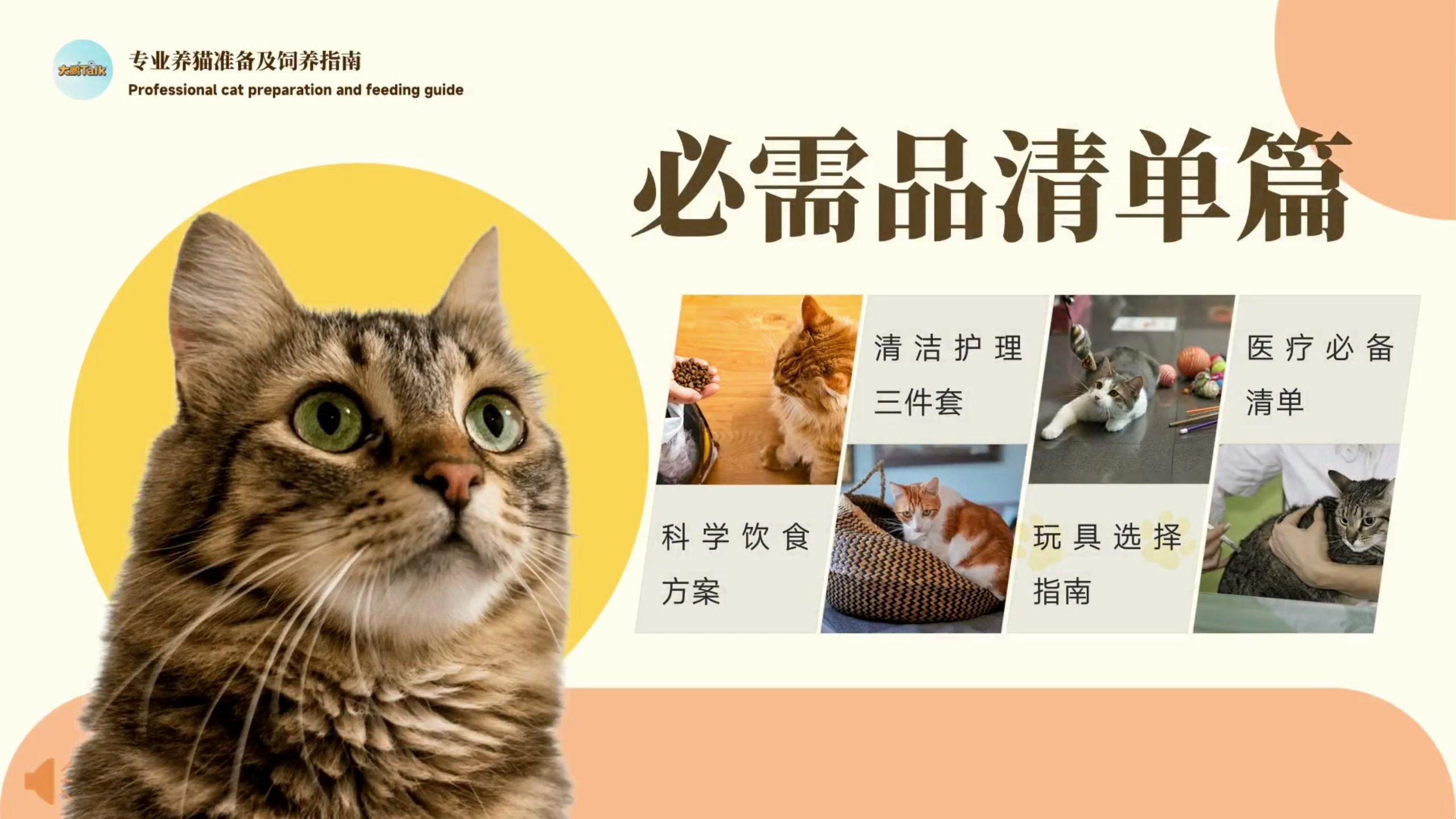 专业养猫准备及饲养指南_哔哩哔哩_bilibili